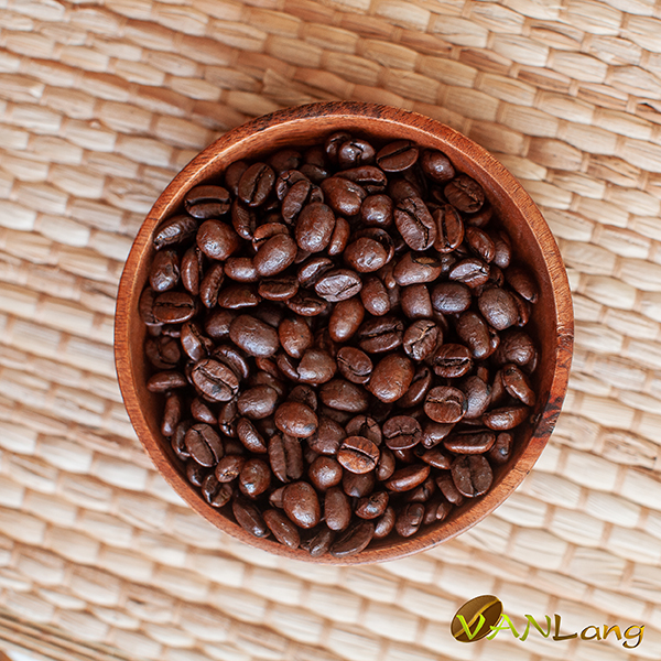 MR.PHIN - ARABICA CAU DAT