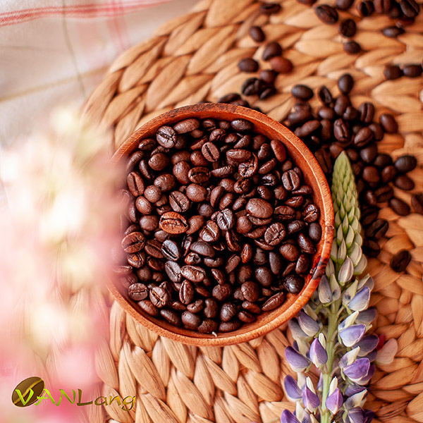 hancoffee premium blend