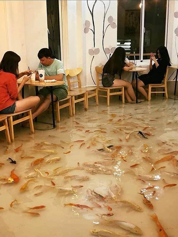 кафе с аквариумом